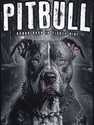Bluza PIT BULL Street King klasyk PitBull