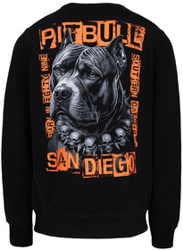 Bluza PIT BULL BLACKY klasyk PitBull