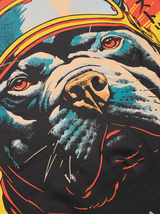 Koszulka Pit bull Fuji PitBull