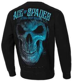 Bluza PIT BULL Blue Skull klasyk PitBull
