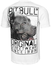 Koszulka Pit bull ORIGIN PitBull