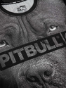 Koszulka PIT BULL Rashguard MASH Born in 1989 Pitbull