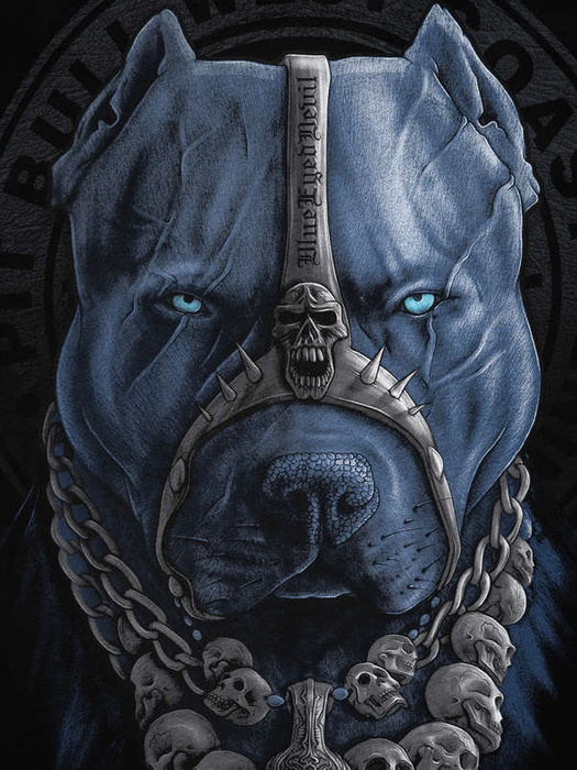 Koszulka Pit bull Skull Dog PitBull