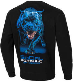 Bluza PIT BULL In Blue klasyk PitBull